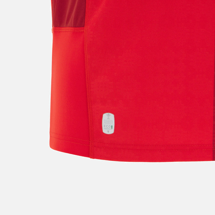 Maillot Macron Pays de Galles Rugby Domicile Réplique 2025/26 Homme