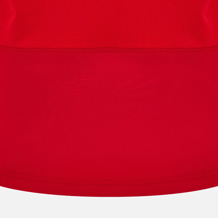 Maillot de rugby Macron Pays de Galles en coton à domicile pour homme