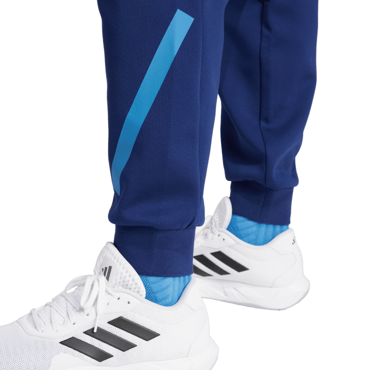 Pantalon Adidas France Travel ZNE pour homme