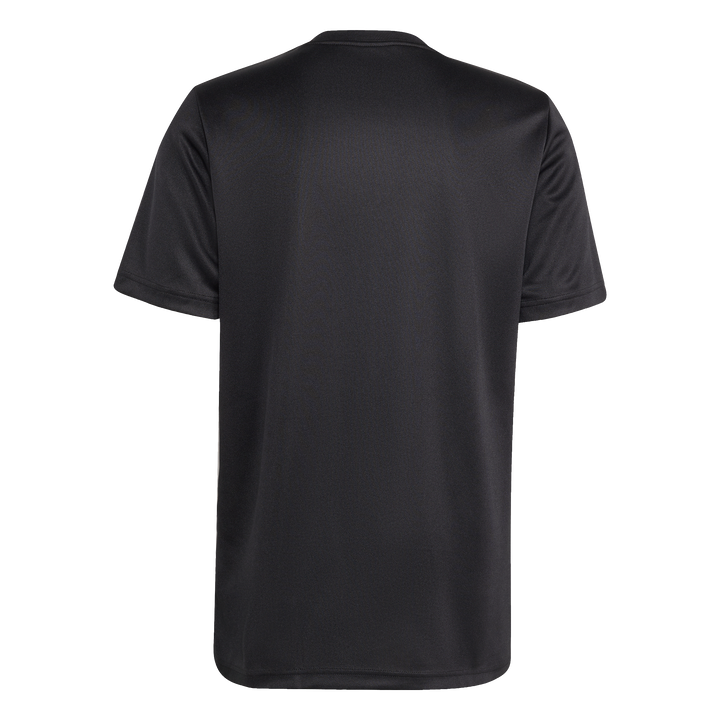 T-shirt de supporter adidas All Blacks pour homme