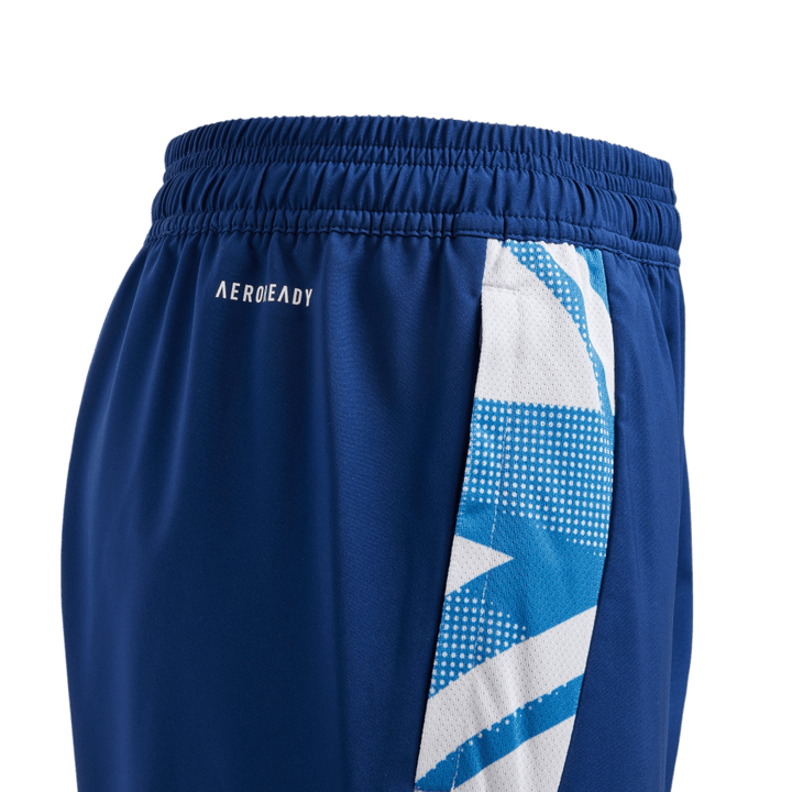 Pantalon de rugby Adidas France pour enfants