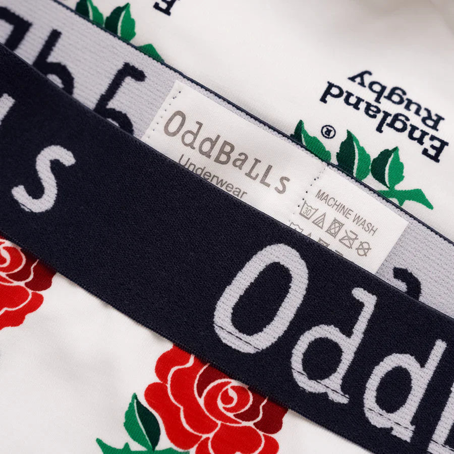 Slip Katoen Homme OddBalls England Rugby Union