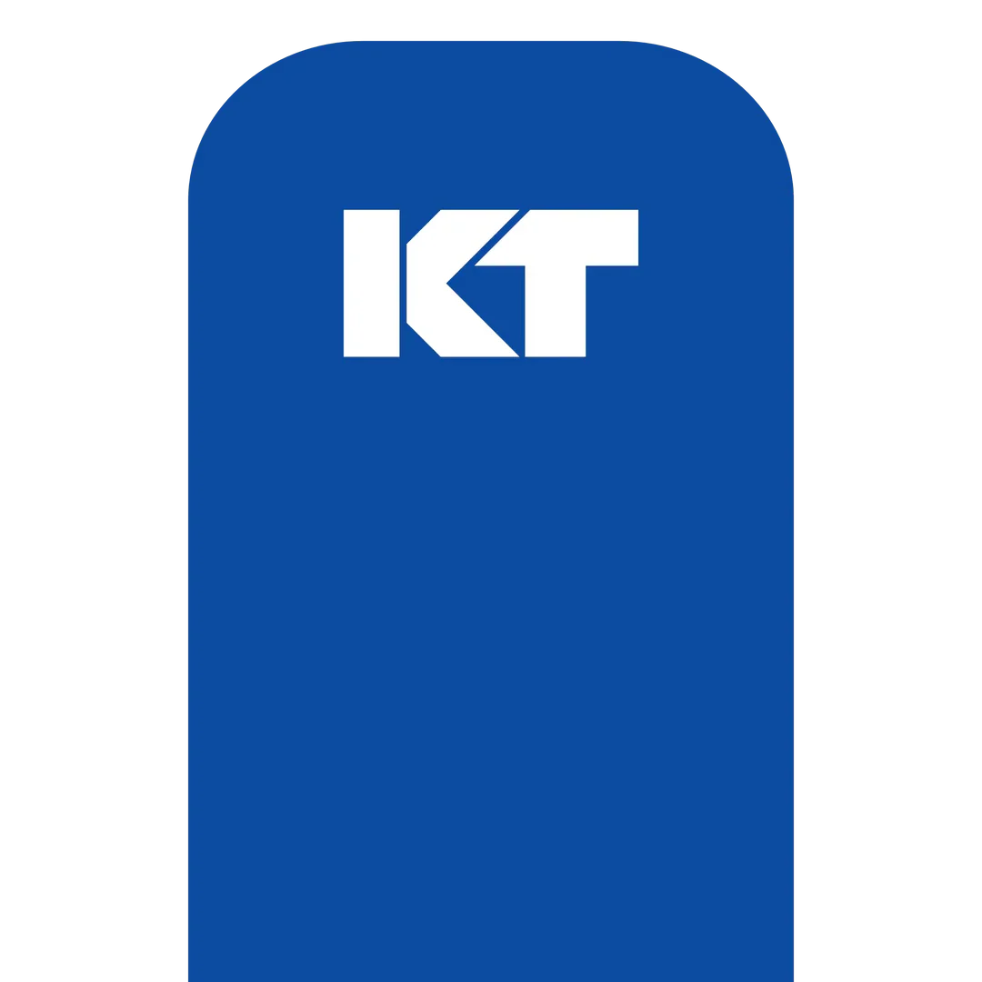 KT Tape Original Voorgesneden (5 x 25 cm) – 20 pièces – 5 mètres